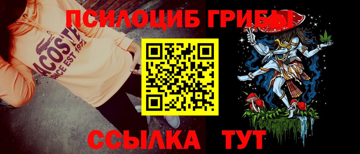 дарнет шоп  Вход с VPN  Жигулёвск  Галлюциногенные грибы Psilocybine cubensis  Галлюциногенные грибы MAGIC MUSHROOMS 