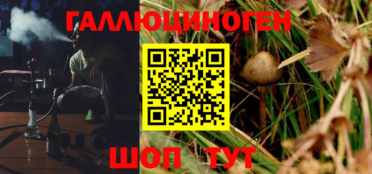 Псилоцибиновые грибы мухоморы Жигулёвск